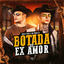 Cover Botada de Ex Amor