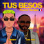 Cover Tus Besos (French Version)