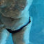Cover Wet