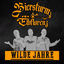 Cover Wilde Jahre