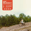 Cover Strays