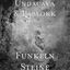 Cover Funkeln Steine