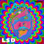 Cover LSD