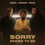 Cover Sorry Seems to Be