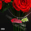 Cover Miento