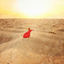 Cover Desert Flow