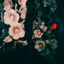 Cover Still Life (Eli & Fur Remix)