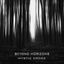 Cover Beyond Horizons