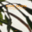 Cover Tone Down