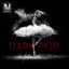 Cover Dark Pop