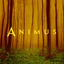 Cover Animus II