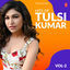 Cover Hits Of Tulsi Kumar Vol-2