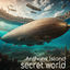 Cover Secret World