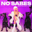 Cover No sabes
