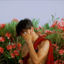 Cover roses