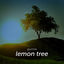 Cover Lemon Tree