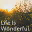 Cover Life Is Wonderful