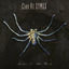 Cover Spider on the Wall