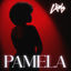Cover PAMELA