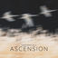 Cover Ascension