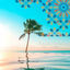 Cover Arabic Summer