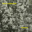 Cover Flowers