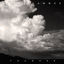Cover Thunder