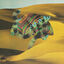 Cover Django Django
