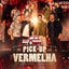 Cover Pick-Up Vermelha