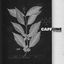 Cover Caffeine