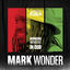 Cover Working Wonders in Dub