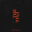 Cover The Fall