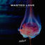 Cover Wasted Love