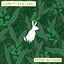 Cover Rabbit Hearted.