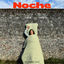 Cover Noche