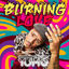 Cover Burning Love