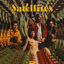 Cover Şatellites