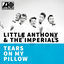 Cover Tears On My Pillow