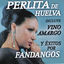 Cover Fandangos