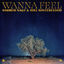 Cover Wanna Feel