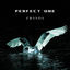 Cover Perfect One
