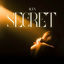 Cover SECRET