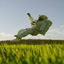 Cover Organic_Starz