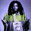 Cover Half Pint