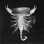 Cover SCORPIO