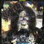 Cover Cold Visions