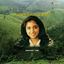 Cover Pudhiya Mugam (Original Motion Picture Soundtrack)