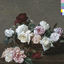 Cover Power Corruption and Lies