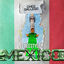 Cover Freestyle Mexico