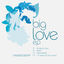 Cover Big Love EP